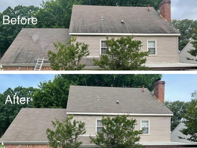 before and after roof washing