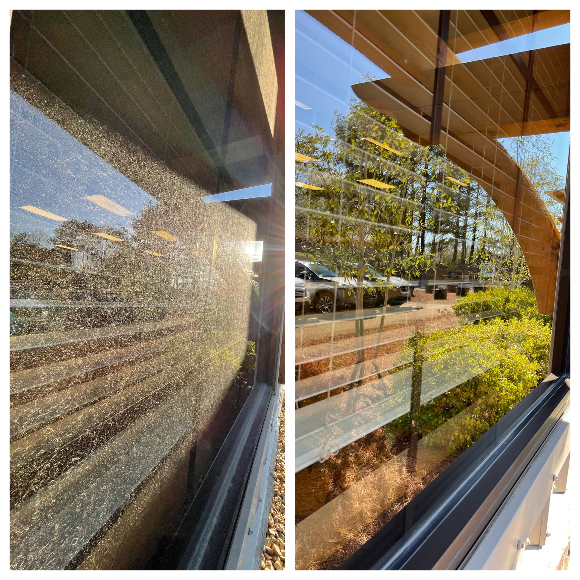 Before & After Photo